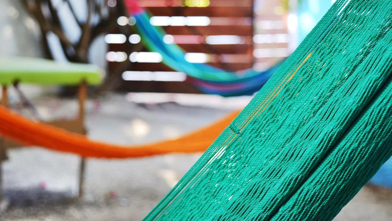 Beds Friends Hostel Cozumel